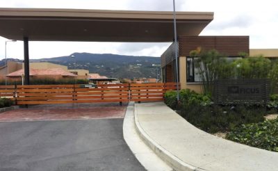 Agrupación Ficus- Hacienda Fontanar del Río