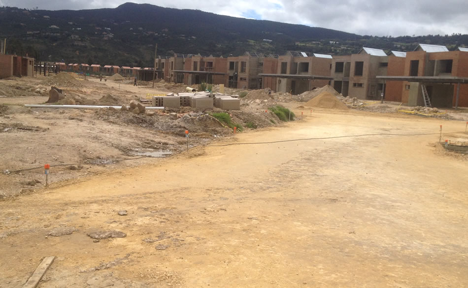 Agrupación Ficus- Hacienda Fontanar